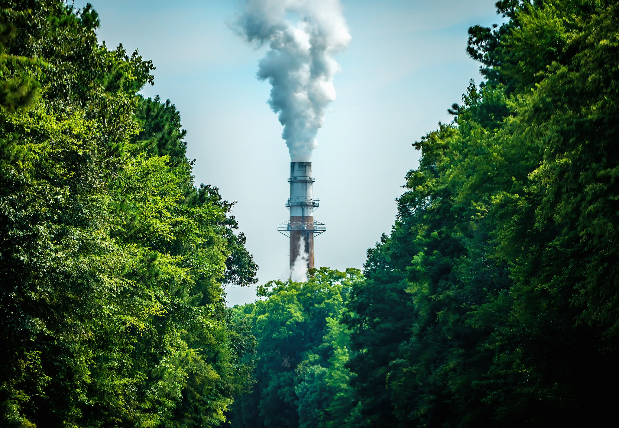 Выброс токсичных веществ. Промышленные выбросы в атмосферу. Завод в лесу. Загрязнение воздуха. Экология воздуха.